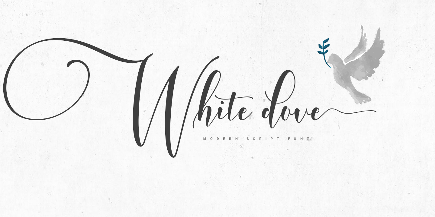 Beispiel einer White Dove Script-Schriftart #1